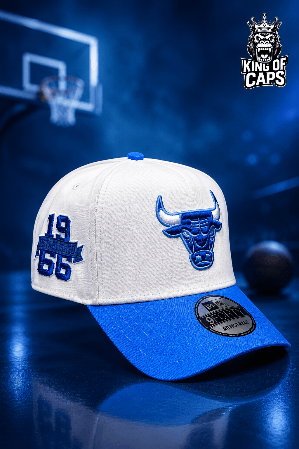 CHICAGO BULLS — photo 1
